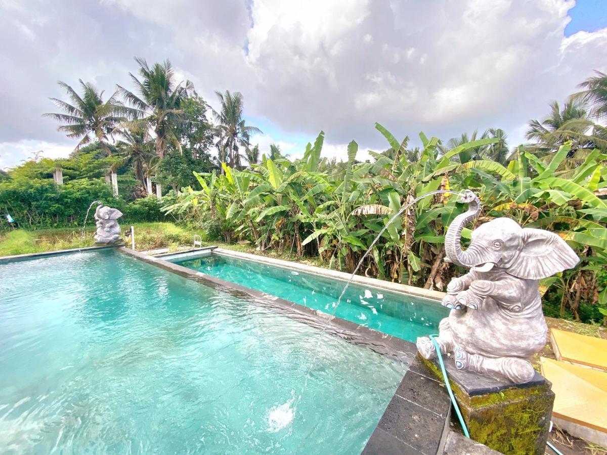 Ubud Rice Field House Ngoại thất bức ảnh