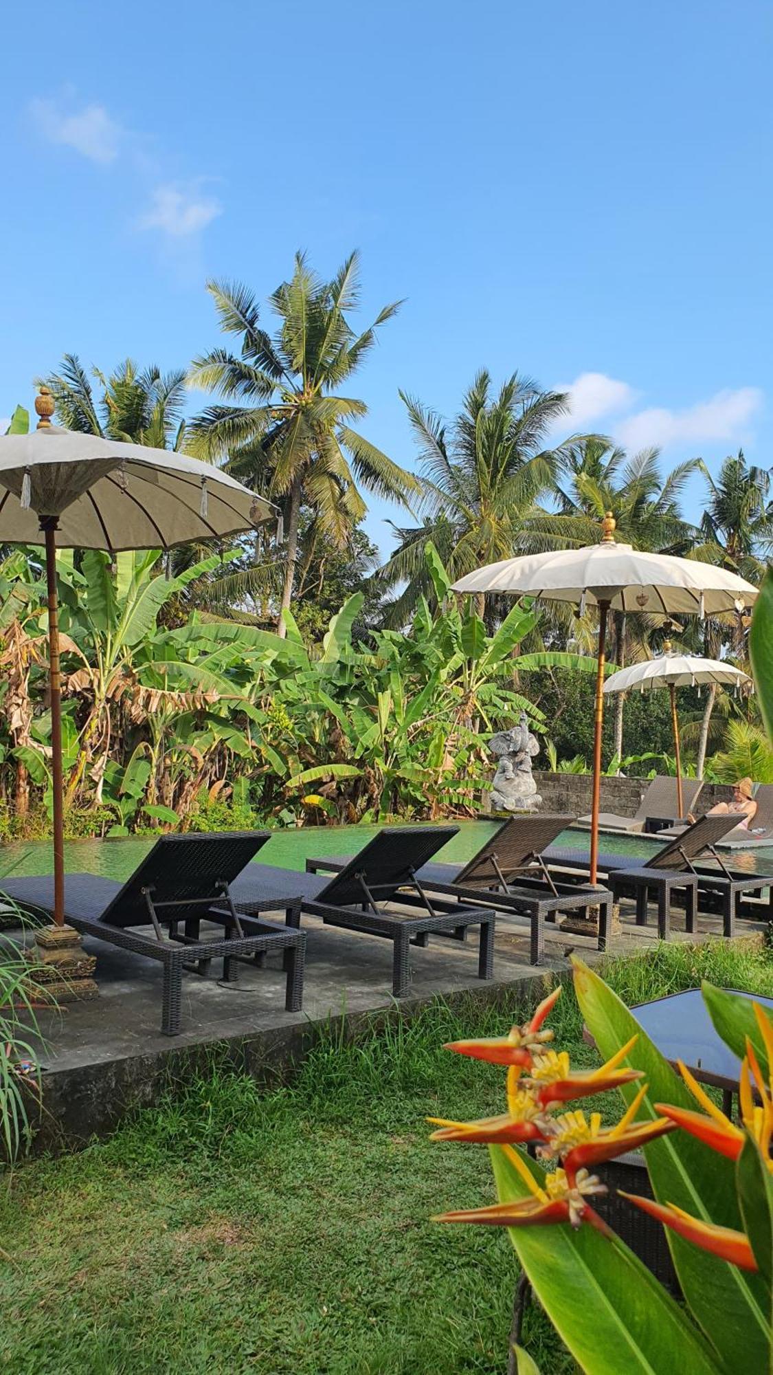 Ubud Rice Field House Ngoại thất bức ảnh