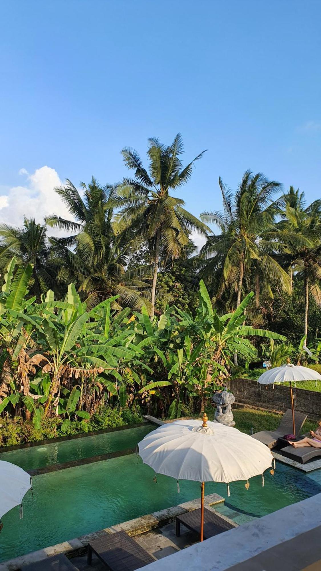 Ubud Rice Field House Ngoại thất bức ảnh